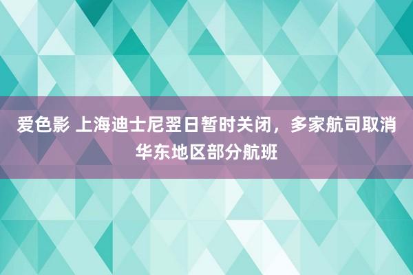 爱色影 上海迪士尼翌日暂时关闭，多家航司取消华东地区部分航班