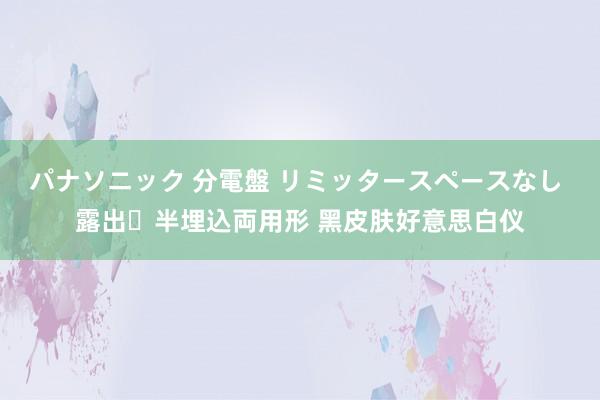 パナソニック 分電盤 リミッタースペースなし 露出・半埋込両用形 黑皮肤好意思白仪