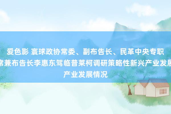 爱色影 寰球政协常委、副布告长、民革中央专职副主席兼布告长李惠东驾临普莱柯调研策略性新兴产业发展情况