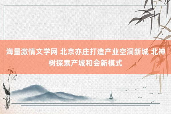 海量激情文学网 北京亦庄打造产业空洞新城 北神树探索产城和会新模式