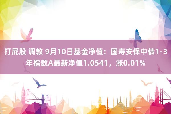 打屁股 调教 9月10日基金净值：国寿安保中债1-3年指数A最新净值1.0541，涨0.01%