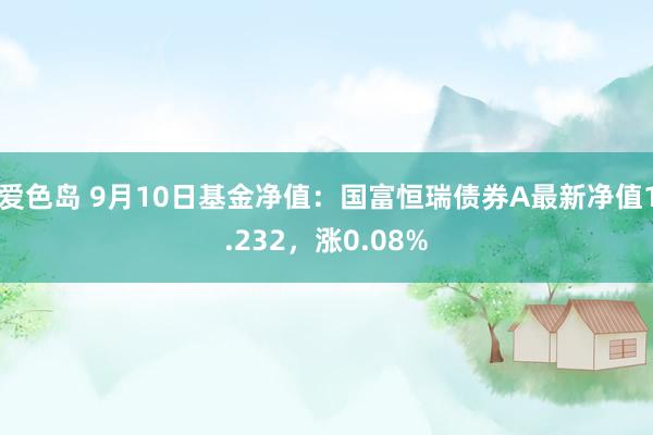 爱色岛 9月10日基金净值：国富恒瑞债券A最新净值1.232，涨0.08%