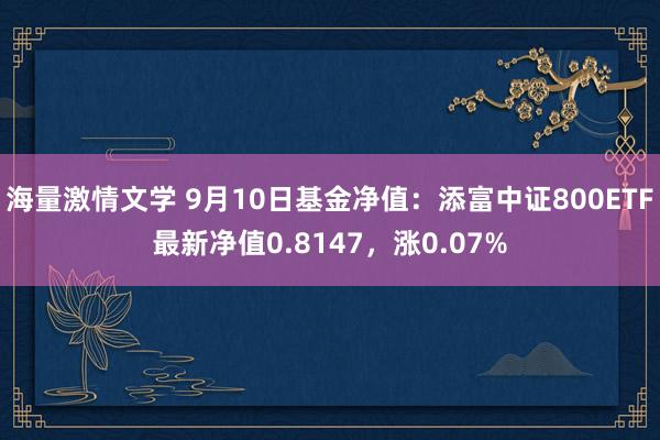 海量激情文学 9月10日基金净值：添富中证800ETF最新净值0.8147，涨0.07%