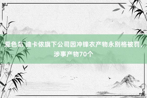 爱色岛 迪卡侬旗下公司因冲锋衣产物永别格被罚，涉事产物70个