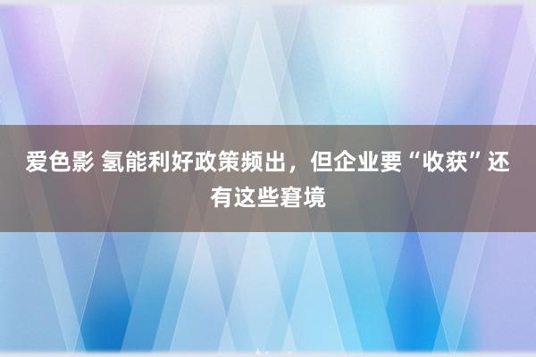 爱色影 氢能利好政策频出，但企业要“收获”还有这些窘境