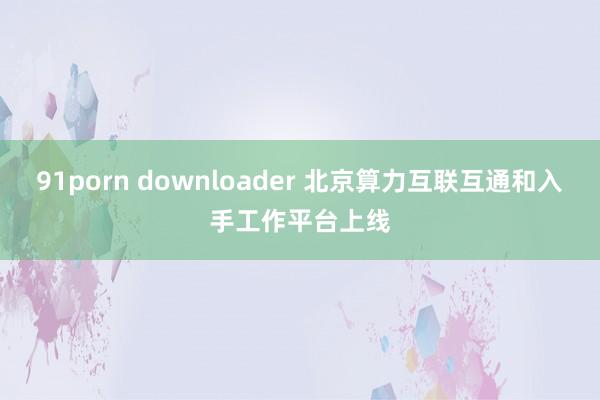 91porn downloader 北京算力互联互通和入手工作平台上线