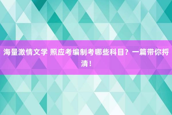 海量激情文学 照应考编制考哪些科目？一篇带你捋清！