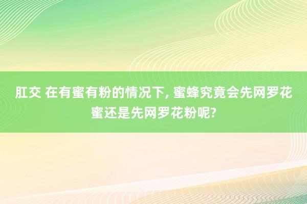 肛交 在有蜜有粉的情况下, 蜜蜂究竟会先网罗花蜜还是先网罗花粉呢?