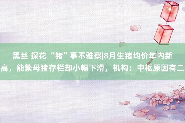 黑丝 探花 “猪”事不雅察|8月生猪均价年内新高，能繁母猪存栏却小幅下滑，机构：中枢原因有二