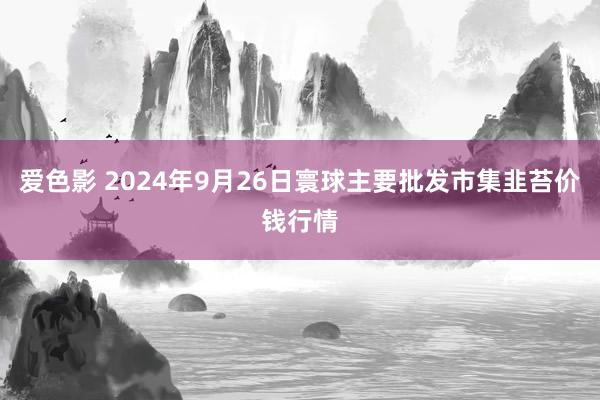 爱色影 2024年9月26日寰球主要批发市集韭苔价钱行情