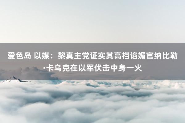 爱色岛 以媒：黎真主党证实其高档谄媚官纳比勒·卡乌克在以军伏击中身一火