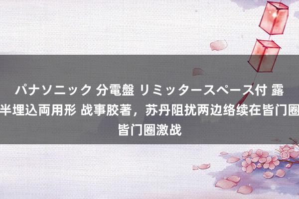 パナソニック 分電盤 リミッタースペース付 露出・半埋込両用形 战事胶著，苏丹阻扰两边络续在皆门圈激