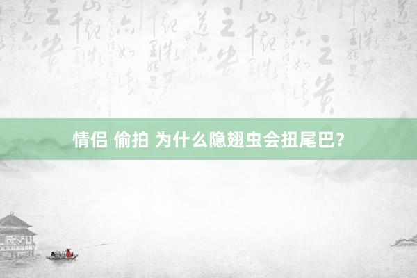 情侣 偷拍 为什么隐翅虫会扭尾巴？