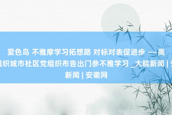 爱色岛 不雅摩学习拓想路 对标对表促进步 ——高河镇组织城市社区党组织布告出门参不雅学习 _大皖新闻