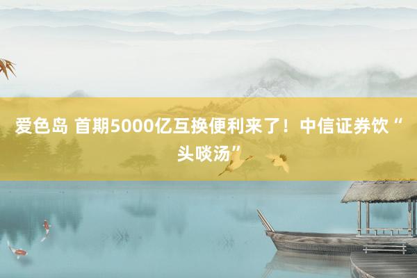 爱色岛 首期5000亿互换便利来了！中信证券饮“头啖汤”