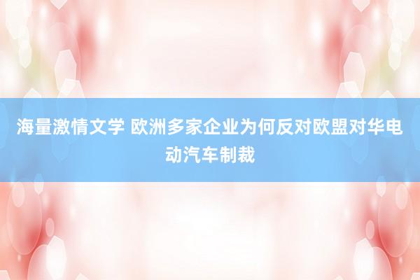 海量激情文学 欧洲多家企业为何反对欧盟对华电动汽车制裁