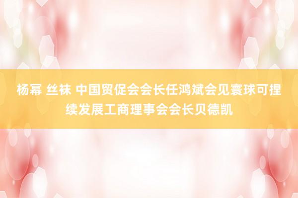 杨幂 丝袜 中国贸促会会长任鸿斌会见寰球可捏续发展工商理事会会长贝德凯