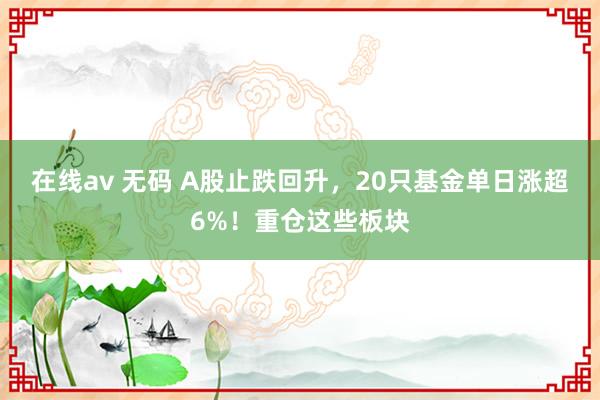 在线av 无码 A股止跌回升，20只基金单日涨超6%！重仓这些板块