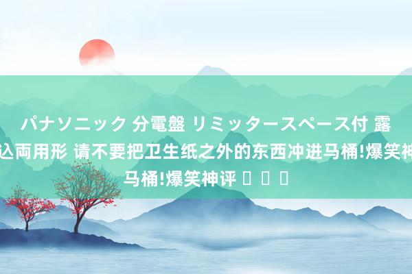 パナソニック 分電盤 リミッタースペース付 露出・半埋込両用形 请不要把卫生纸之外的东西冲进马桶!爆