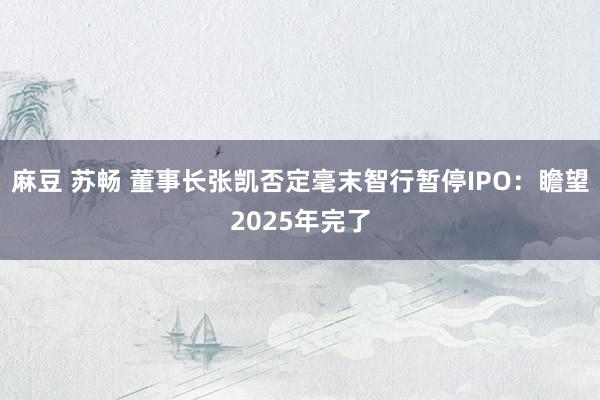 麻豆 苏畅 董事长张凯否定毫末智行暂停IPO：瞻望2025年完了