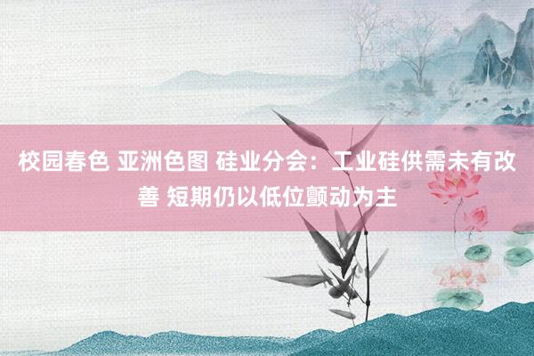 校园春色 亚洲色图 硅业分会：工业硅供需未有改善 短期仍以低位颤动为主