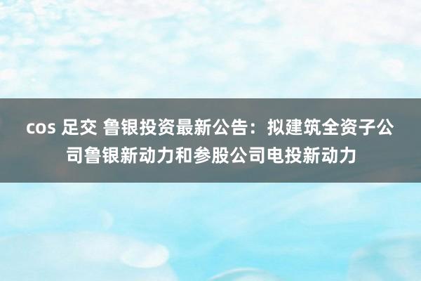 cos 足交 鲁银投资最新公告：拟建筑全资子公司鲁银新动力和参股公司电投新动力