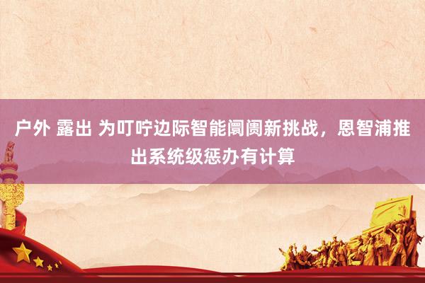 户外 露出 为叮咛边际智能阛阓新挑战，恩智浦推出系统级惩办有计算