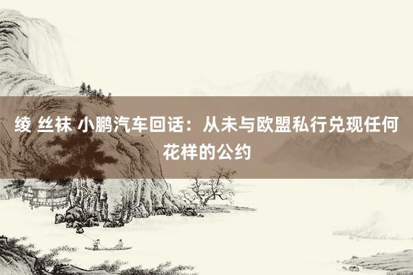 绫 丝袜 小鹏汽车回话：从未与欧盟私行兑现任何花样的公约