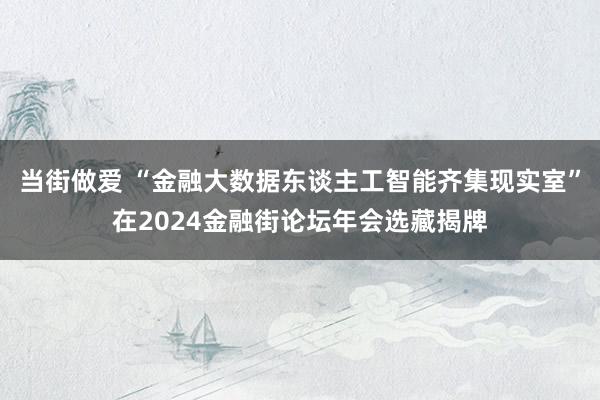 当街做爱 “金融大数据东谈主工智能齐集现实室”在2024金融街论坛年会选藏揭牌