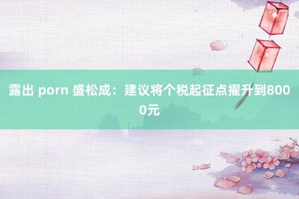 露出 porn 盛松成：建议将个税起征点擢升到8000元