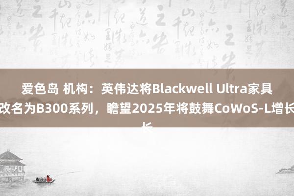 爱色岛 机构：英伟达将Blackwell Ultra家具改名为B300系列，瞻望2025年将鼓舞Co