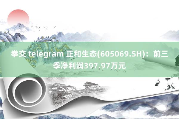 拳交 telegram 正和生态(605069.SH)：前三季净利润397.97万元