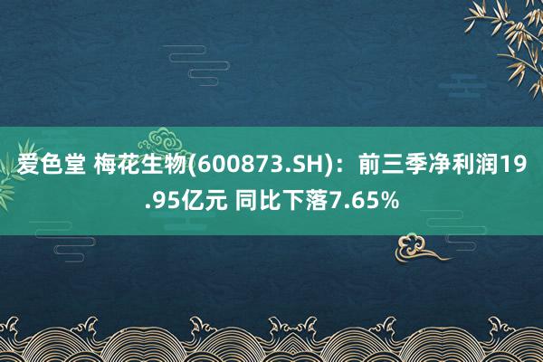 爱色堂 梅花生物(600873.SH)：前三季净利润19.95亿元 同比下落7.65%