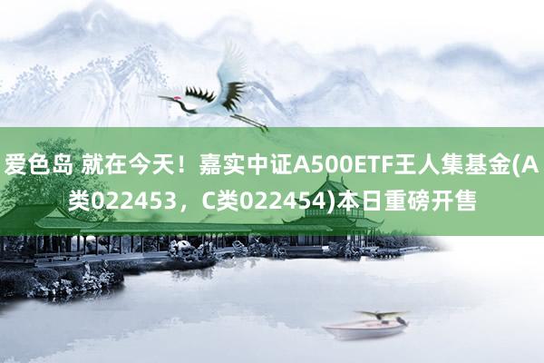 爱色岛 就在今天！嘉实中证A500ETF王人集基金(A类022453，C类022454)本日重磅开售