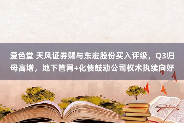 爱色堂 天风证券赐与东宏股份买入评级，Q3归母高增，地下管网+化债鼓动公司权术执续向好