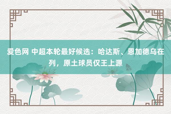 爱色网 中超本轮最好候选：哈达斯、恩加德乌在列，原土球员仅王上源