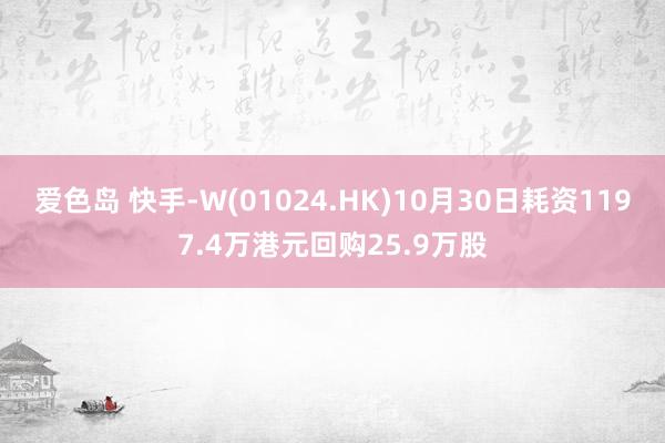 爱色岛 快手-W(01024.HK)10月30日耗资1197.4万港元回购25.9万股