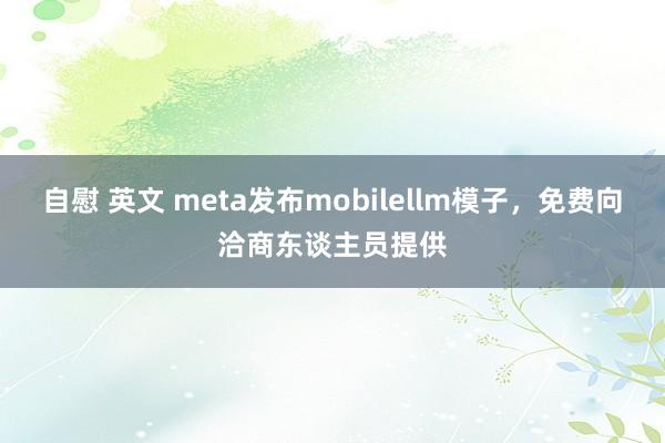 自慰 英文 meta发布mobilellm模子，免费向洽商东谈主员提供