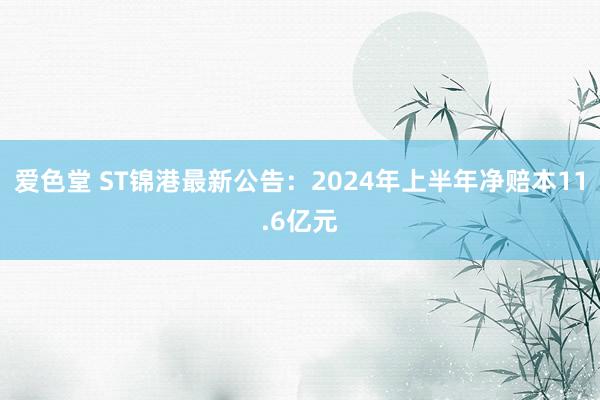 爱色堂 ST锦港最新公告：2024年上半年净赔本11.6亿元