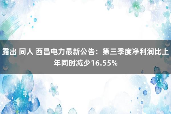 露出 同人 西昌电力最新公告：第三季度净利润比上年同时减少16.55%