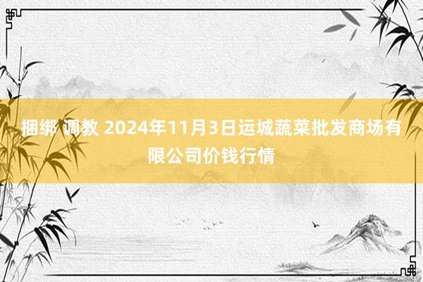 捆绑 调教 2024年11月3日运城蔬菜批发商场有限公司价钱行情