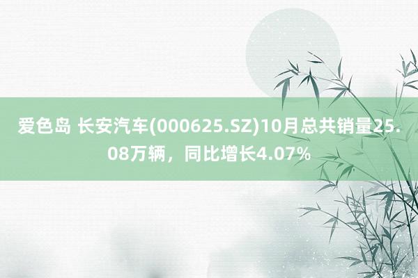 爱色岛 长安汽车(000625.SZ)10月总共销量25.08万辆，同比增长4.07%