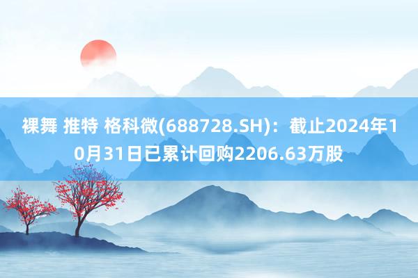 裸舞 推特 格科微(688728.SH)：截止2024年10月31日已累计回购2206.63万股