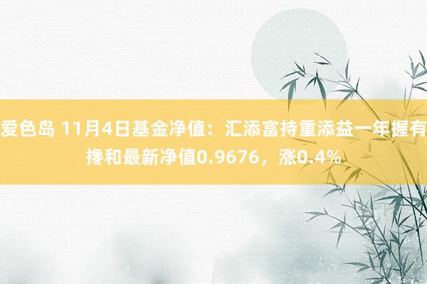 爱色岛 11月4日基金净值：汇添富持重添益一年握有搀和最新净值0.9676，涨0.4%