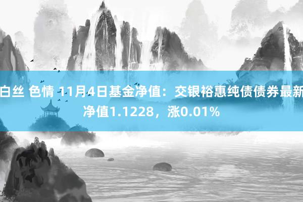 白丝 色情 11月4日基金净值：交银裕惠纯债债券最新净值1.1228，涨0.01%