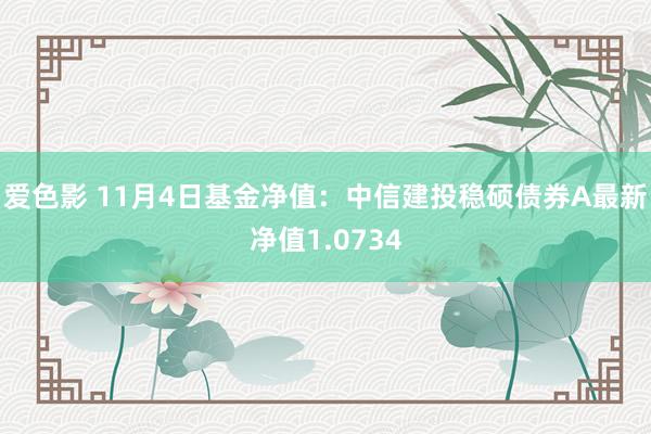 爱色影 11月4日基金净值：中信建投稳硕债券A最新净值1.0734