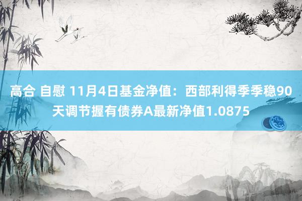 高合 自慰 11月4日基金净值：西部利得季季稳90天调节握有债券A最新净值1.0875