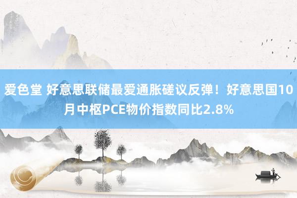 爱色堂 好意思联储最爱通胀磋议反弹！好意思国10月中枢PCE物价指数同比2.8%