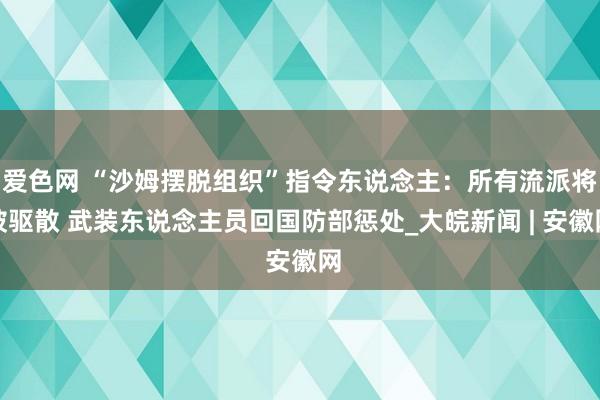 爱色网 “沙姆摆脱组织”指令东说念主：所有流派将被驱散 武装东说念主员回国防部惩处_大皖新闻 | 安徽网