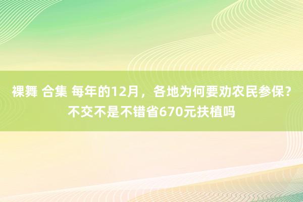 裸舞 合集 每年的12月，各地为何要劝农民参保？不交不是不错省670元扶植吗